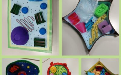 Modeliranje od otpada – STANICA