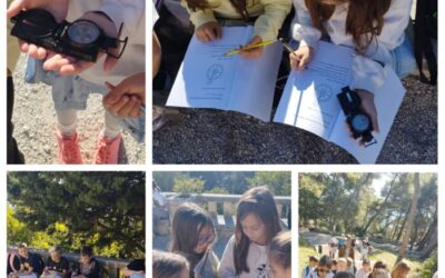 ORIJENTACIJA U PROSTORU 